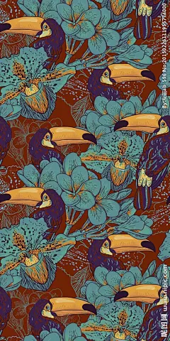 热带花卉