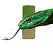 Snake color study 蛇色彩练习