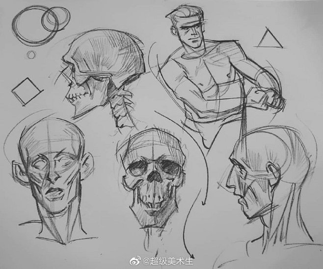艺用人体结构动态线稿
.
人物漫画、解剖...