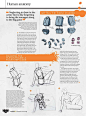 Anatomy Book Scans 结构书