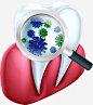 牙齿上的细菌高清素材 png图形 png装饰 放大镜 牙齿 细菌 装饰 免抠png 设计图片 免费下载