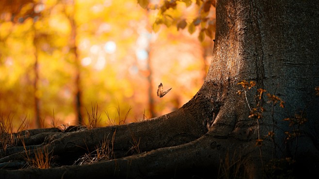 General 1920x1080 bu...