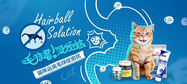 猫，猫猫用品，猫粮-波奇宠物商城_波奇商...