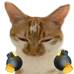 猫咪抽象表情包 - 小红书