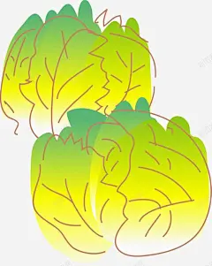 食用蔬菜高清素材 包菜 手绘 插画 绿色 青菜 免抠png 设计图片 免费下载