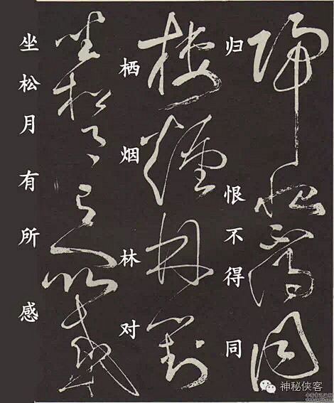 张旭草书欣赏