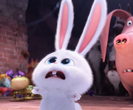 thesecretlifeofpetssnowball