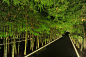 d’Leedon 丽敦豪邸 | PROJECTS - LPA : Lighting Planners Associates