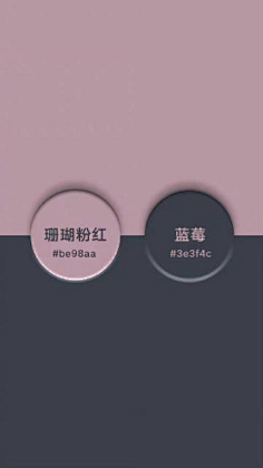 颜色-花瓣网|陪你做生活的设计师 | 高级感双色搭配