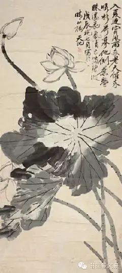大名鼎鼎的写意大师“青藤白阳”笔下的墨荷！明 徐渭 墨荷图