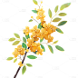 中秋节插画桂花元素贴纸