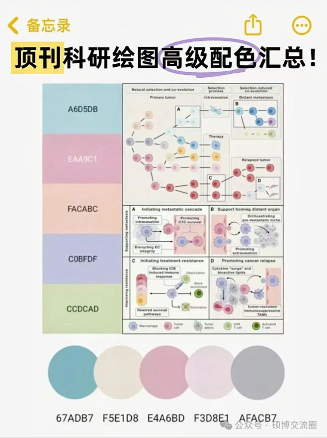 微信图片_20241219112941
