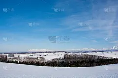 雪原雪山