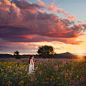 【美图分享】Lisa Holloway的作品《Summer Melody》 #500px# @500px社区CameraCanon EOS 5D Mark III
LensEF85mm f/1.2L II USM
Focal Length85mm
Shutter Speed1/320 s
Aperturef/2
ISO/Film400
CategoryPeople
Uploaded2 days ago
TakenAug 2, 2015