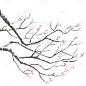 冬天冬季冬日积雪树枝植物元素