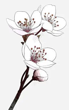 手绘桃花书房壁纸高清素材 书房 壁纸 桃花 免抠png 设计图片 免费下载