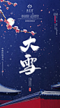 平面约设计：sdxc0006  节日图  节气图  热点图  创意图 大雪