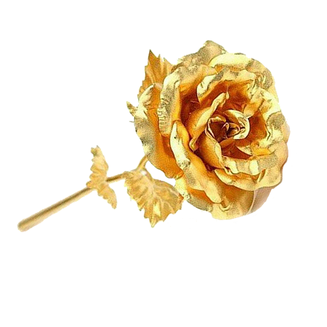 png免扣透明图 花朵 金色金属玫瑰