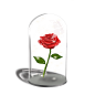 千库网_情人节浪漫玫瑰礼物_元素编号12536699