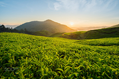 不羁山河采集到背景