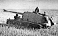 一辆德军坦克穿越麦田。二战。