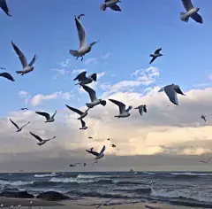 微信背景图