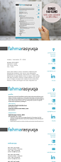 简约的Word简历模板 Aqua 3 in 1 resume for MS Word