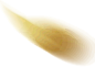 s4_gold1.png (210×150)