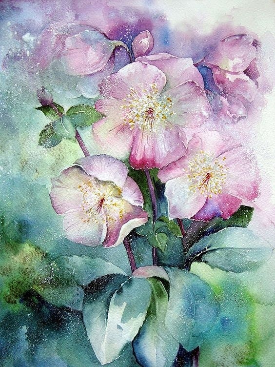 来自水彩艺术家yvonneharry绘画作品一组