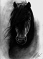 Black Horse by ~LesIdeesNaufragees on deviantART