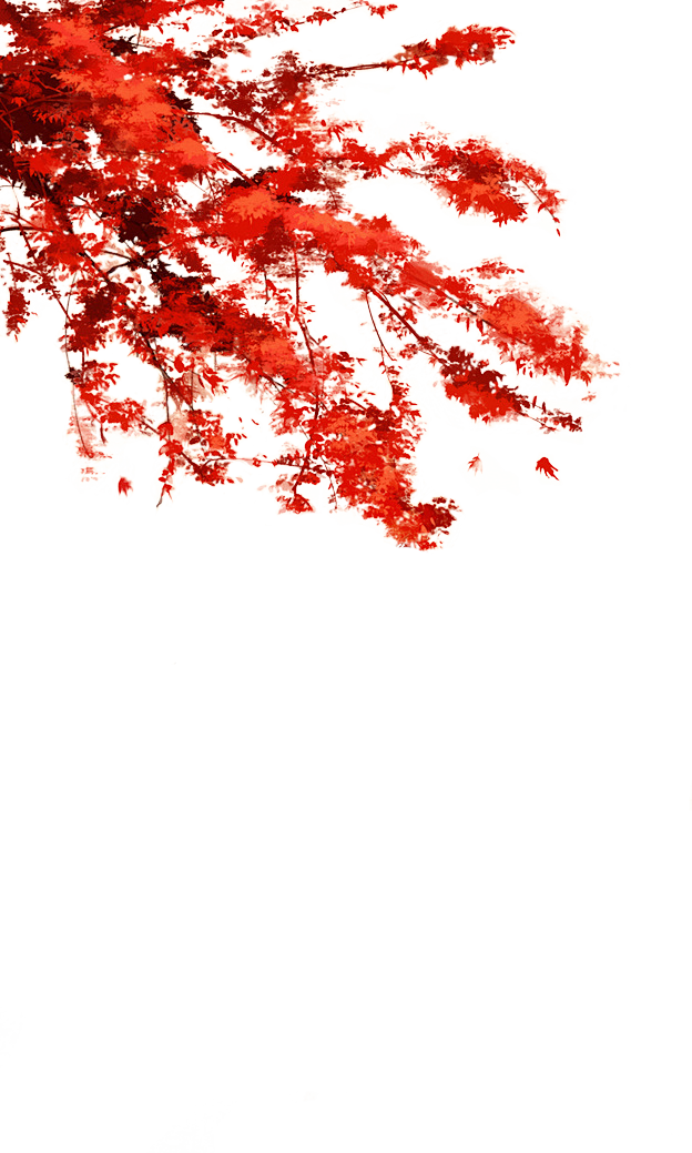 红色花枝5