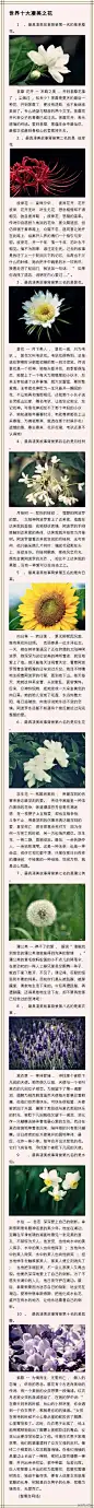 世界十大凄美之花。。@北坤人素材