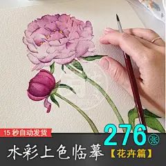 唯美花卉植物插画 彩铅水彩手绘作品 绘画临摹参考素材276张XD002-淘宝网