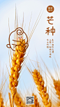 芒种节气祝福涂鸦丰收麦穗动态海报