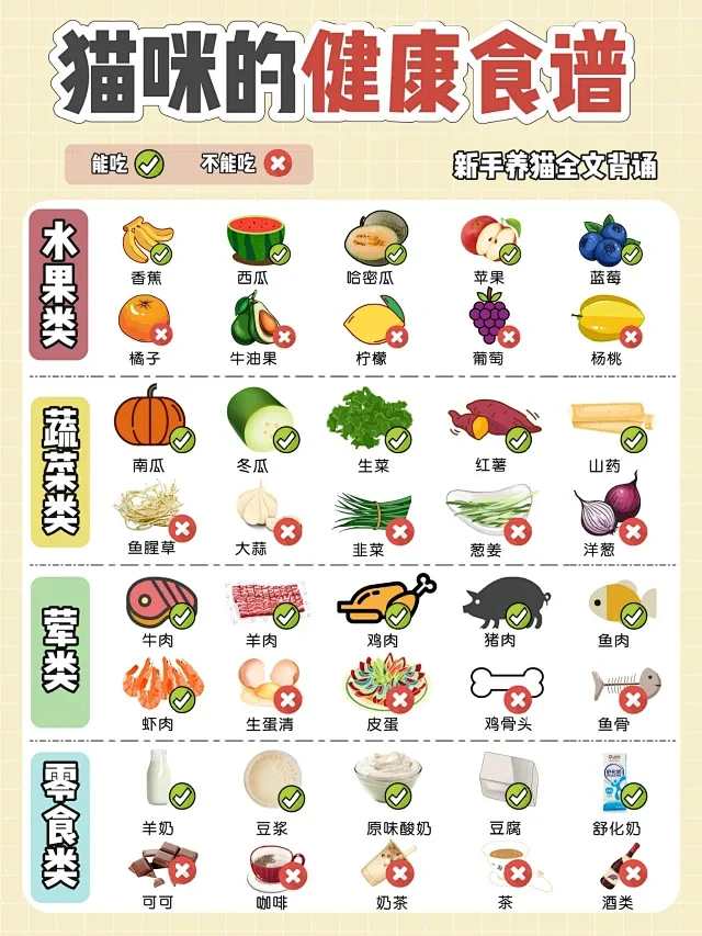 猫咪饮食 - 小红书搜索
