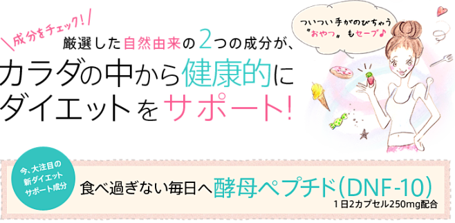 成分について｜資生堂　酵母＆ビフィズス（...