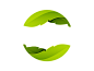 Green leaves icon