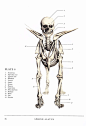 【资源】The resurrectionist_藏飞吧_百度贴吧