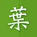 張小叶