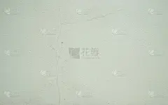 地板、墙壁都是浅绿色