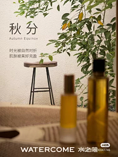 JSqeDOAM采集到节日海报