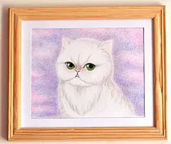 手绘宠物白色绿眼睛英国短毛猫彩色铅笔画