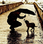 狗、雨、爱、爱心
