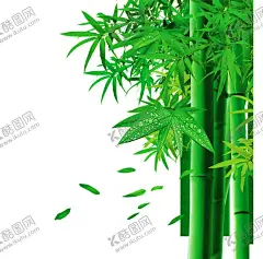 竹子 图片 竹叶 png  手 【酷图网】竹子,图片,竹叶,png,手绘,竹子翠竹,绿竹,竹枝,竹报平安,中国风,竹,竹子绘画,竹子矢量图,竹子墙贴,挂画插画,竹子手绘,竹林,竹笋,卡通竹笋,插画,植物,意境竹枝,竹影清风,竹子背景,手绘竹,绿色竹子,春天,插画竹子,手绘绿植,绿色植物,富贵竹,竹子素材,竹素材,