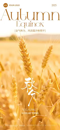 秋分节气祝福实景感简约小麦海报AIGC