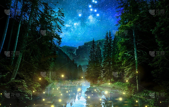 奇妙的夜晚森林素材-花瓣网
