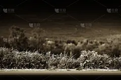 深褐色的山路以青草为背景