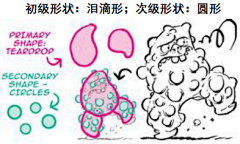 情迷双德乡采集到教程