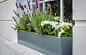 8 Trellis Ideas to Give You Garden Envy : Your climbers will love hanging out on these smart structures – and they'll bring beauty to your outside space