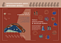 Infographic design about Dunhuang murals